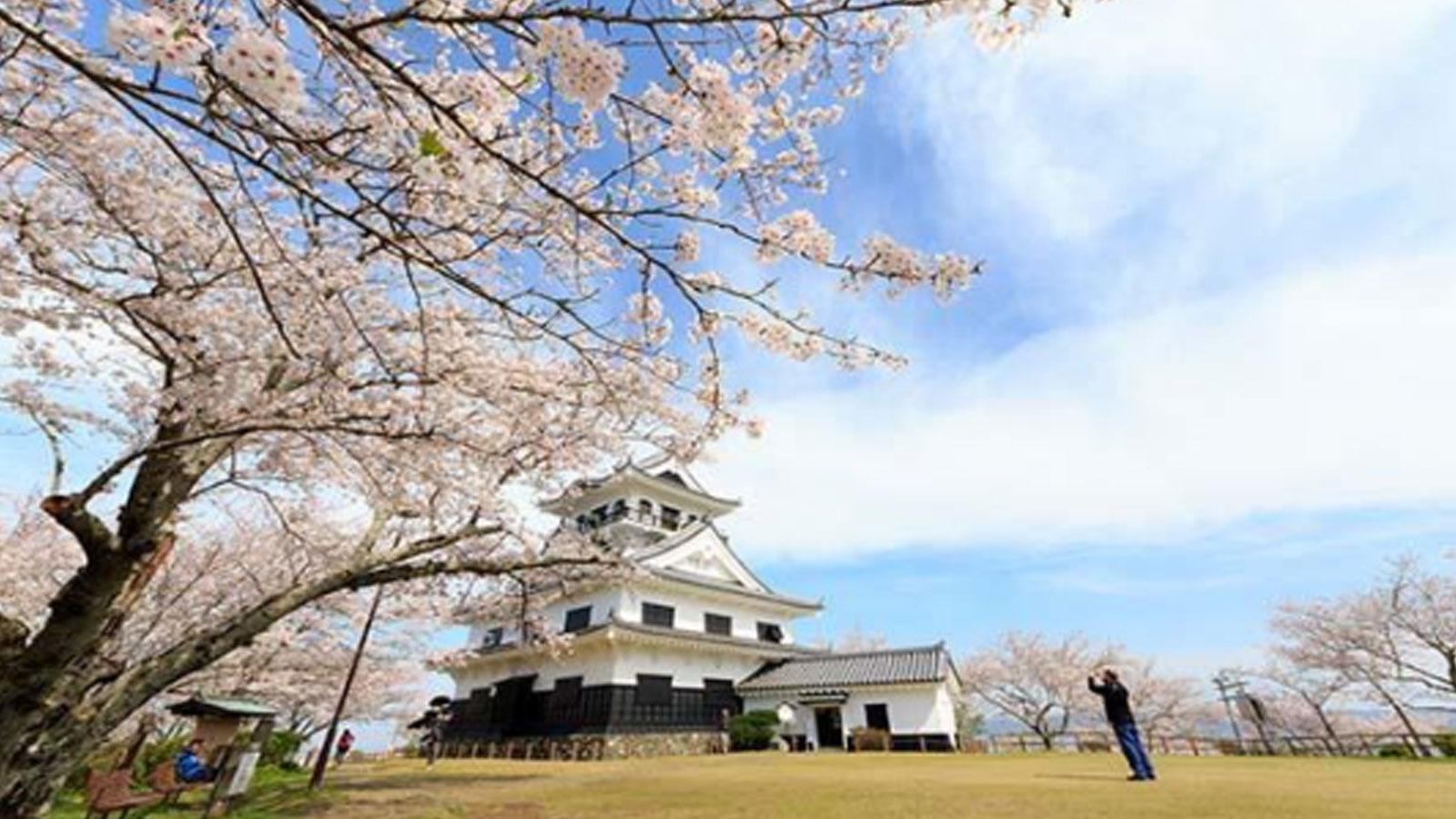 Participated in the Japan International Smart energy Week